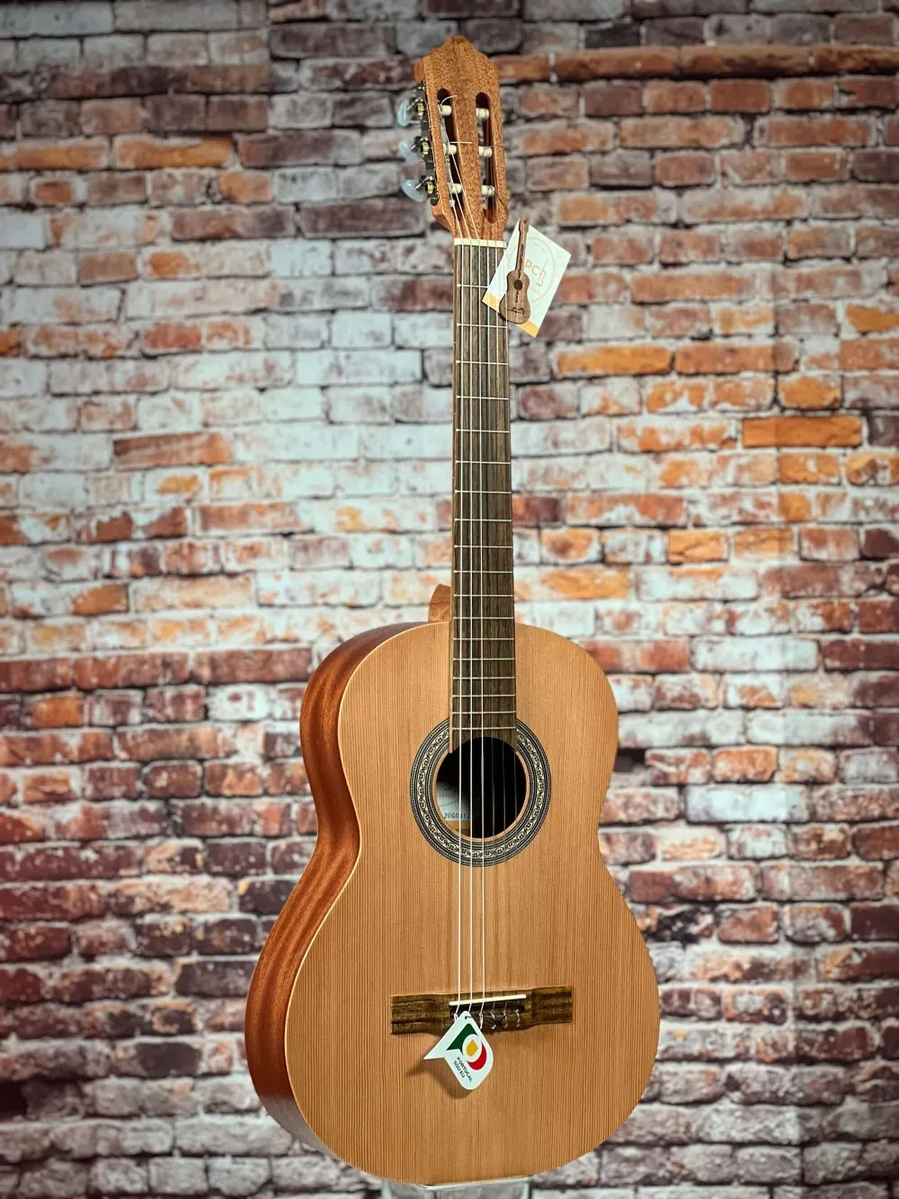Front-Detailansicht einer APC Kontert (Classic) Gitarre Modell GC200 OP 7/8