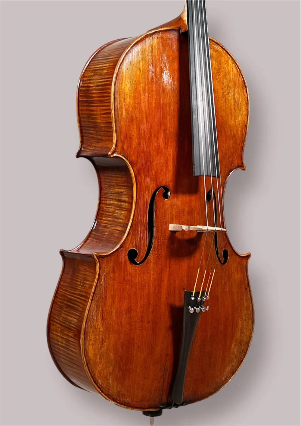 Konzertcello 2025 von Simon Joseph (Reghin), Goffriller-Modell – Deckeansicht seitlich