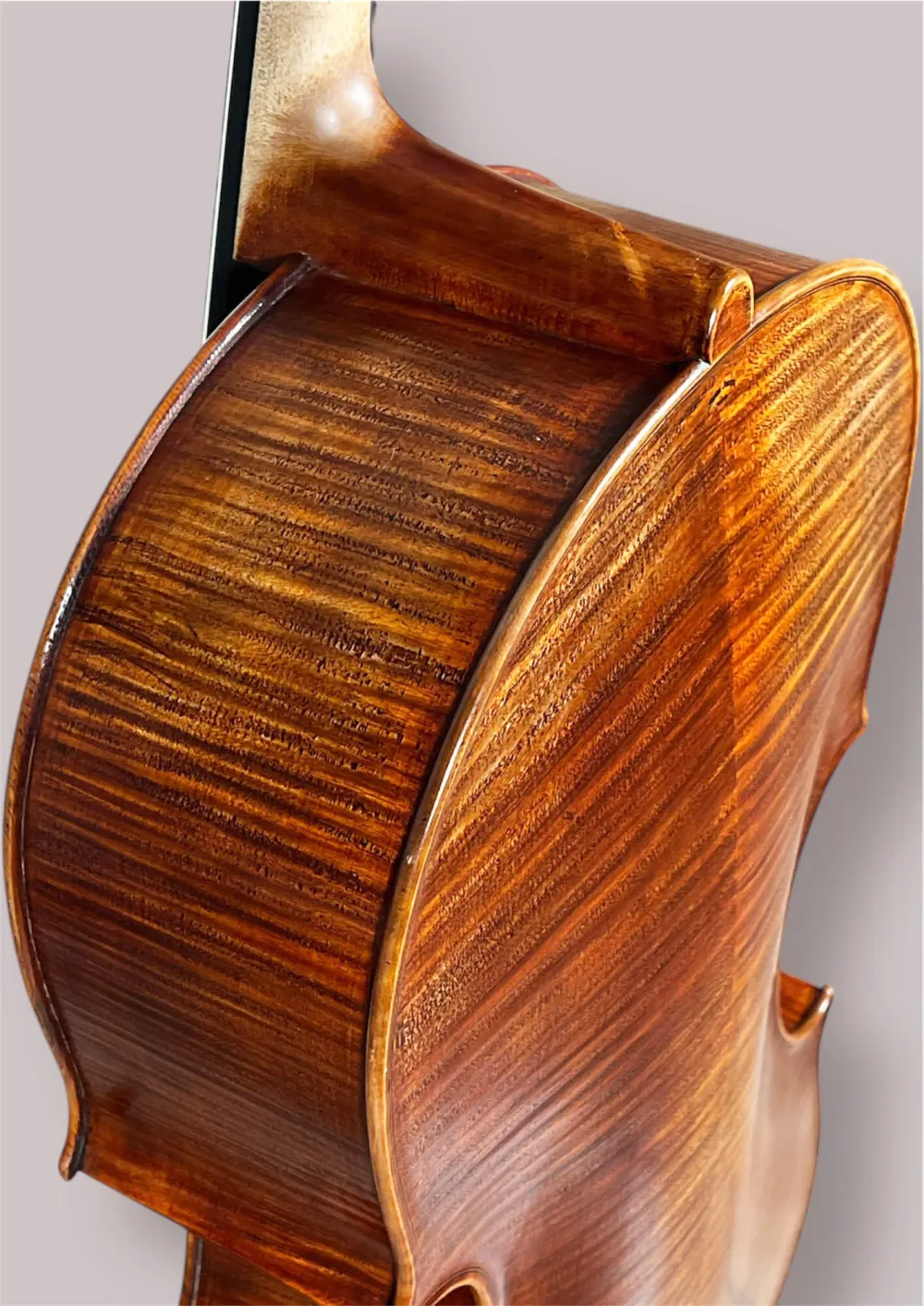 Konzertcello 2025 von Simon Joseph (Reghin), Goffriller-Modell – Zargenansicht