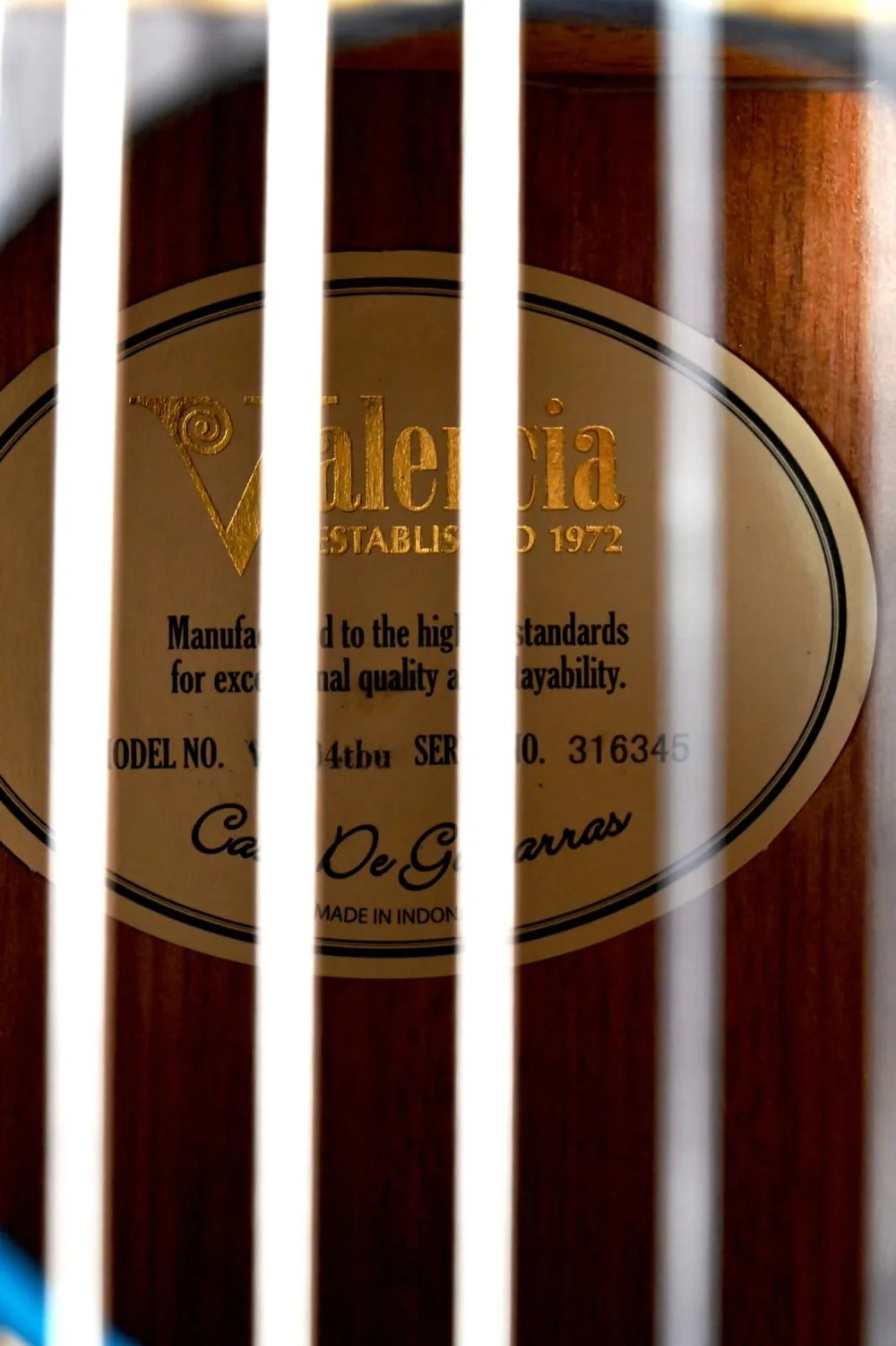 Etikett-Detailansicht einer VALENCIA VC204TBU 4/4 Konzertgitarre (Klassische Gitarre) Modell Transparent blau