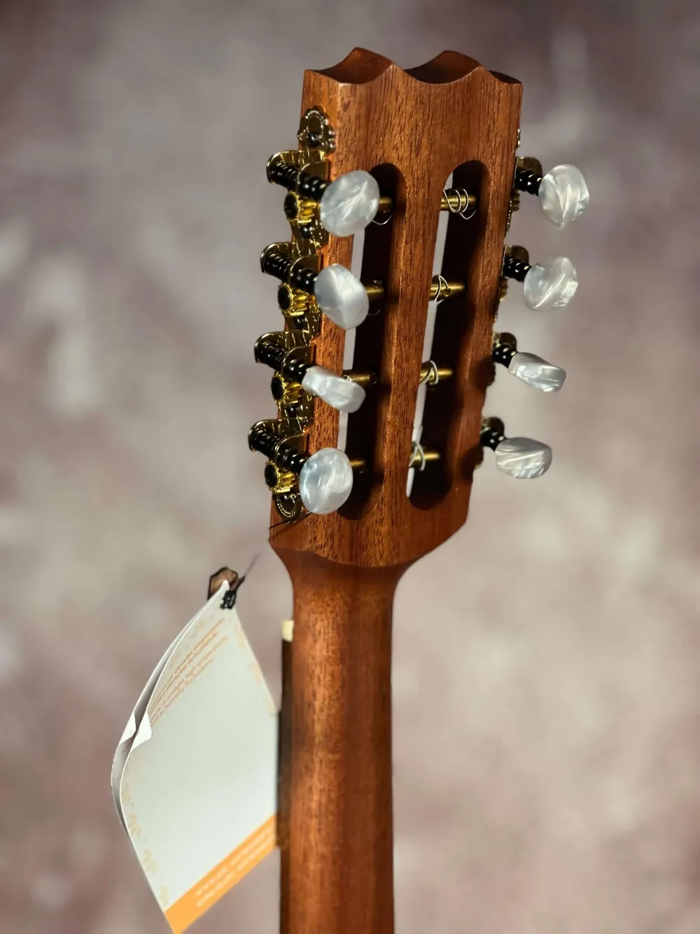 Kopf-hinten-Detailansicht einer APC MDL310 Mandoline Modell ARTIST, Handarbeit aus Portugal