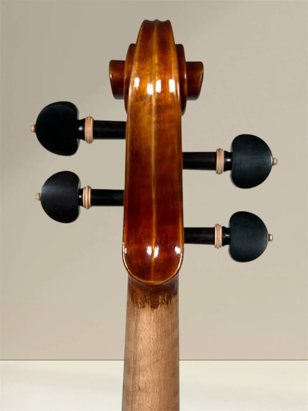Maestro 26 Guarneri Violine 4/4 Schneckeansicht hinten
