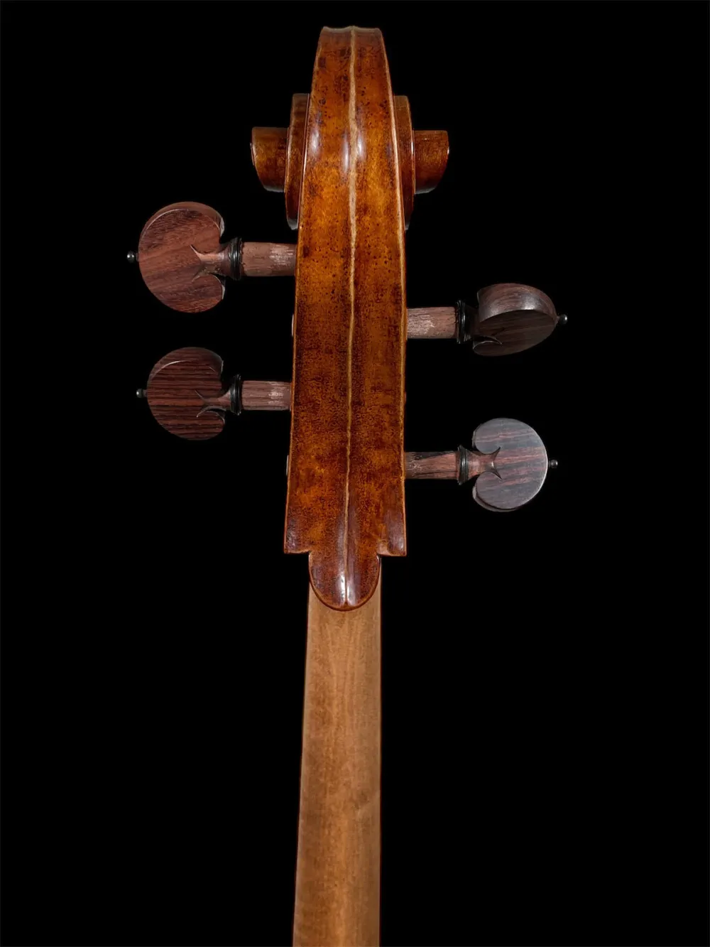 Orbán Zsolt Barock Cello 4/4 gebaut 2023 nach Stradivarius Davidov 1712 - Schneckeansicht hinten