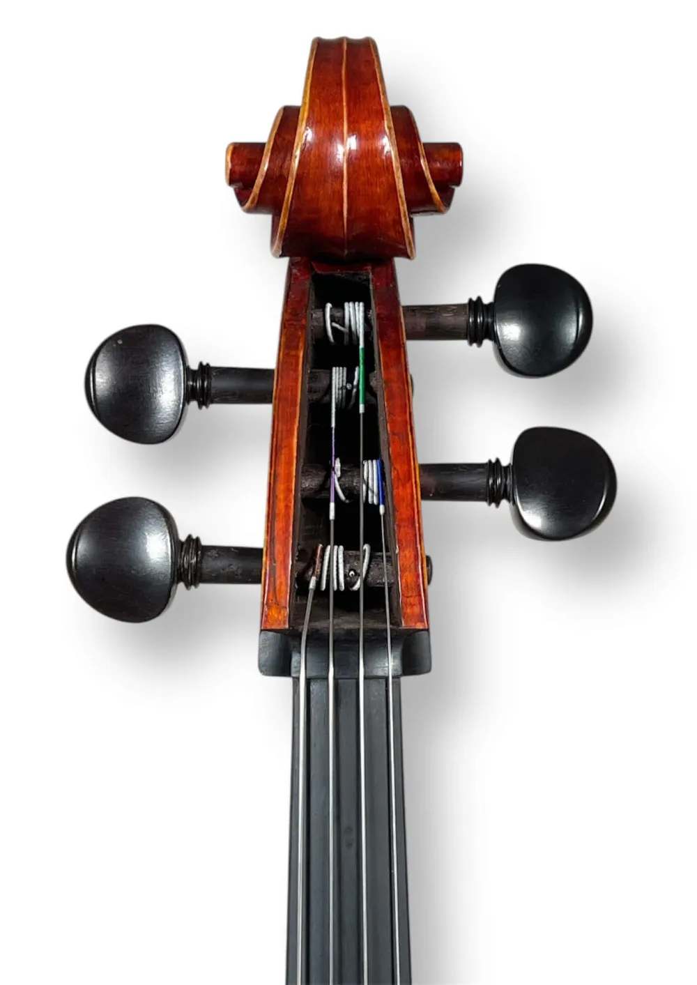 Simon Joseph 4/4 Meister-Cello nach Guadagnini „von Kohner“ 1743, gebaut 2023 – Schneckeansicht vorne