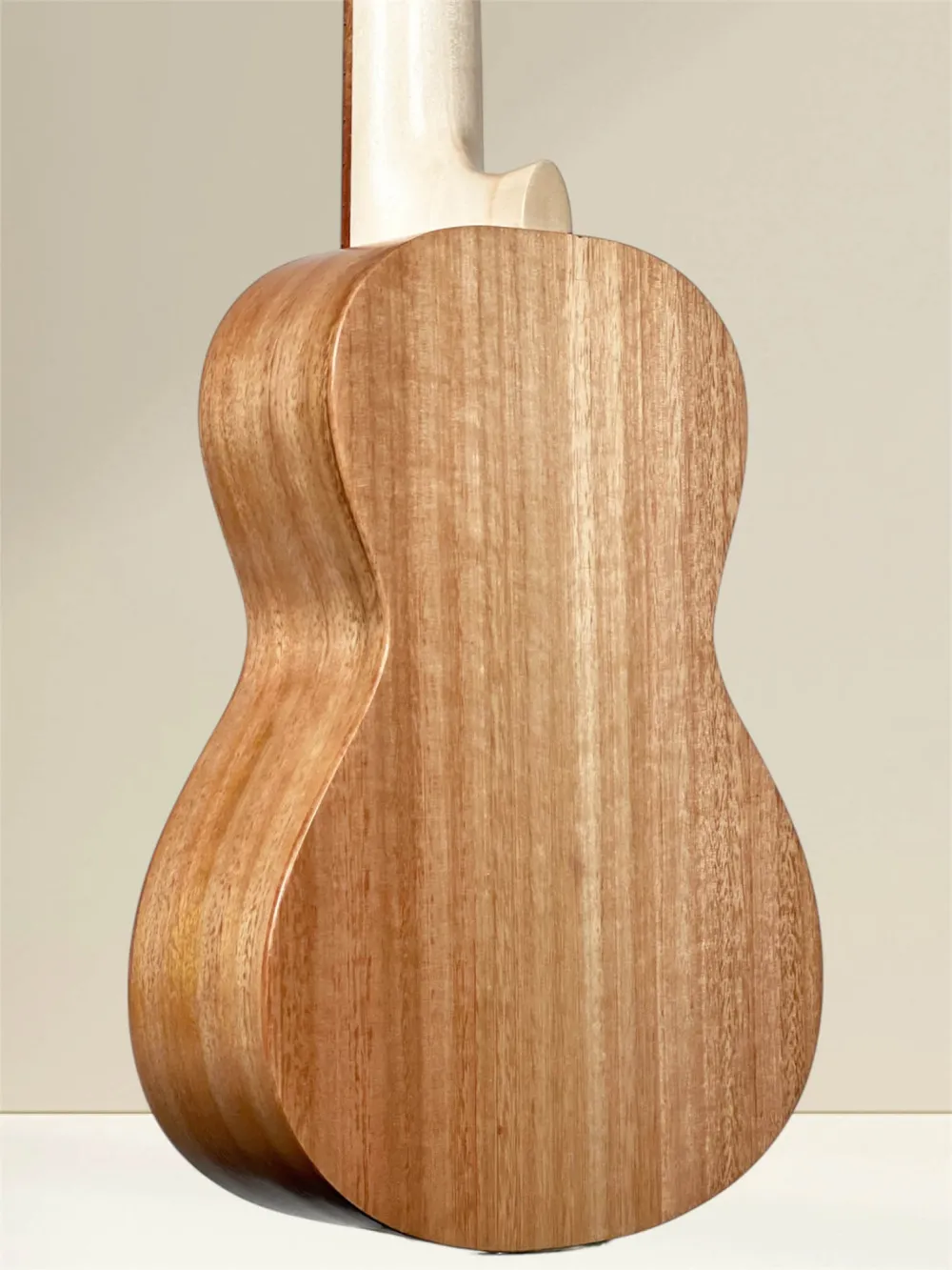 APC S EUC Sopran Ukulele aus massiver Eukalyptus - Bodenansicht APC S EUC Sopran Ukulele aus massiver Eukalyptus - Bodenansicht