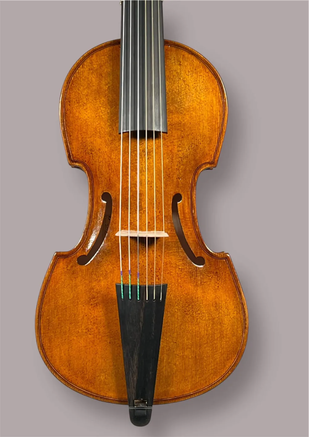 Soprano Viola da Gamba von Orbán Zsolt – Deckeansicht