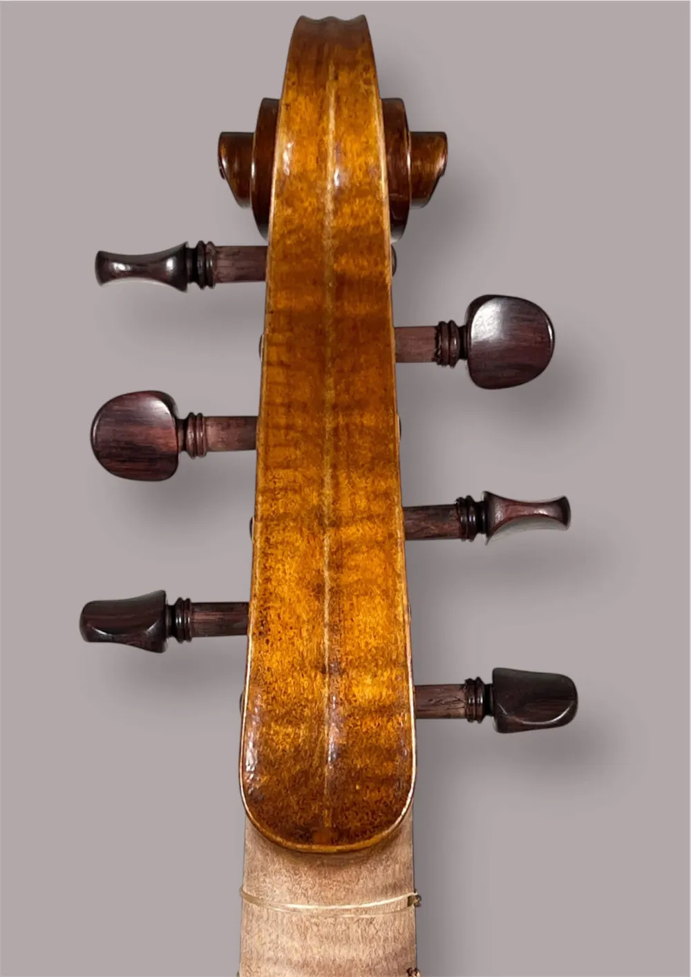Soprano Viola da Gamba von Orbán Zsolt – Schneckeansicht hinten