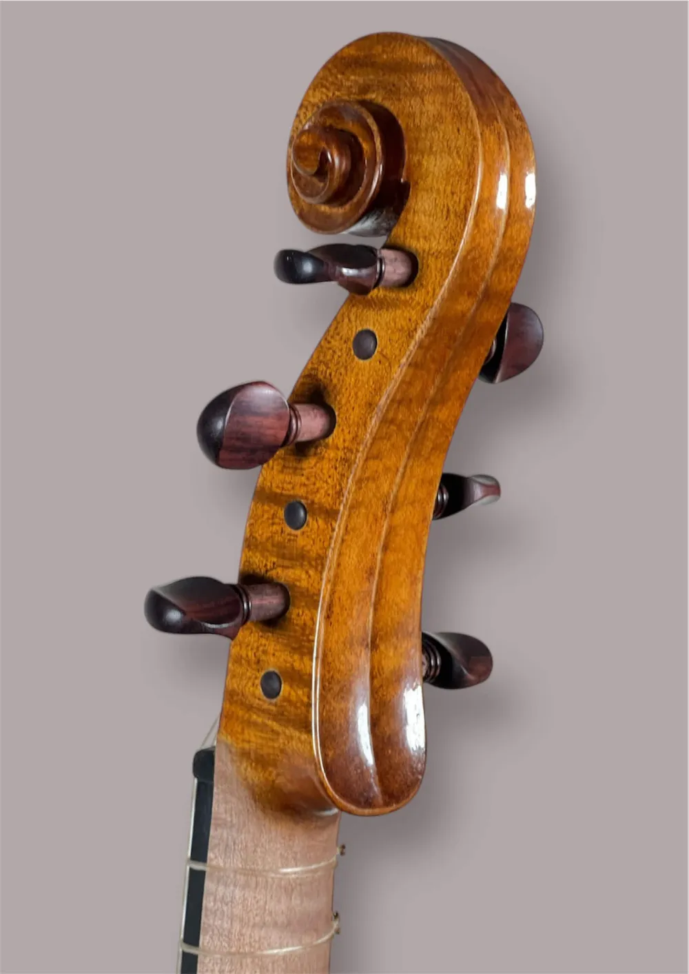 Soprano Viola da Gamba von Orbán Zsolt – Schneckeansicht hinten, seitlich
