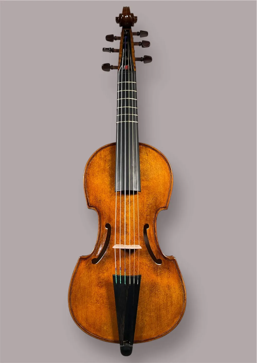 Soprano Viola da Gamba von Orbán Zsolt – Vorderansicht
