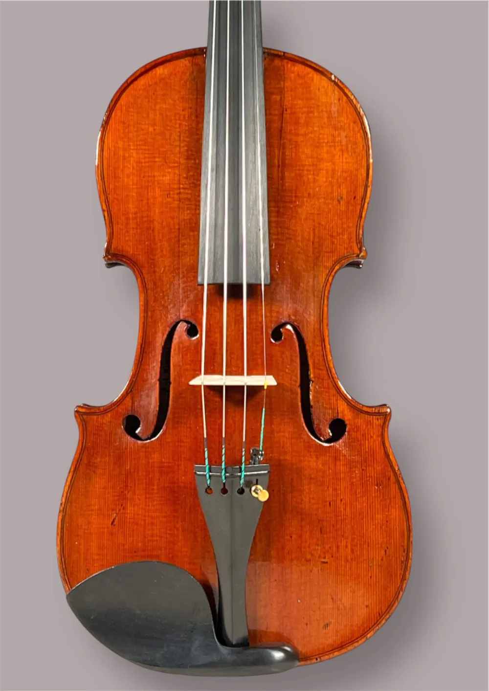 Restaurierte 4/4 Violine ca. 1900 mit Evah Pirazzi Saiten und Ebenholz-Setup - Deckenansicht
