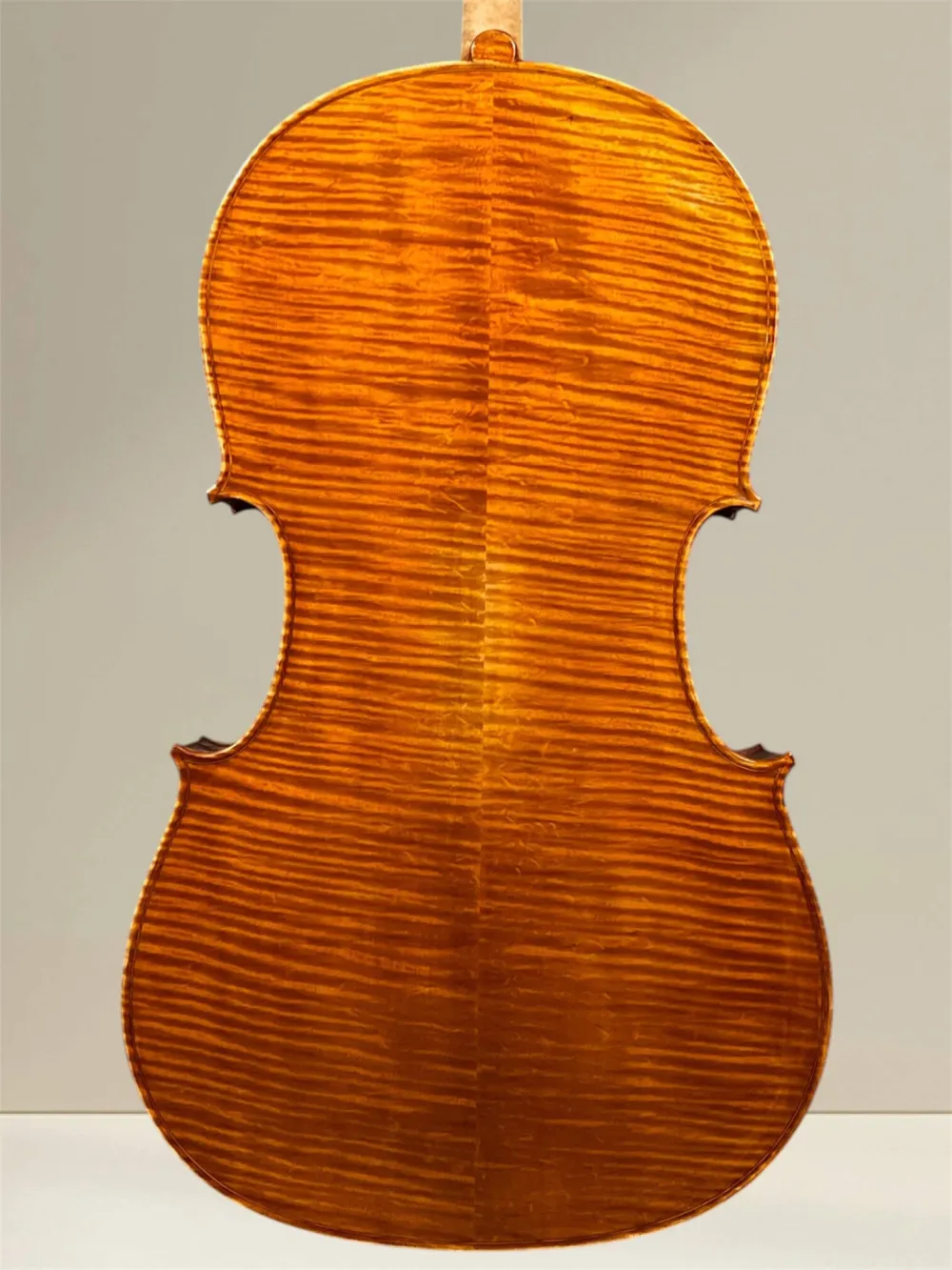 Vultur Calin 4/4 Cello nach Montagnana Sleeping Beauty Modell Baujahr 2018 - Bodenansicht
