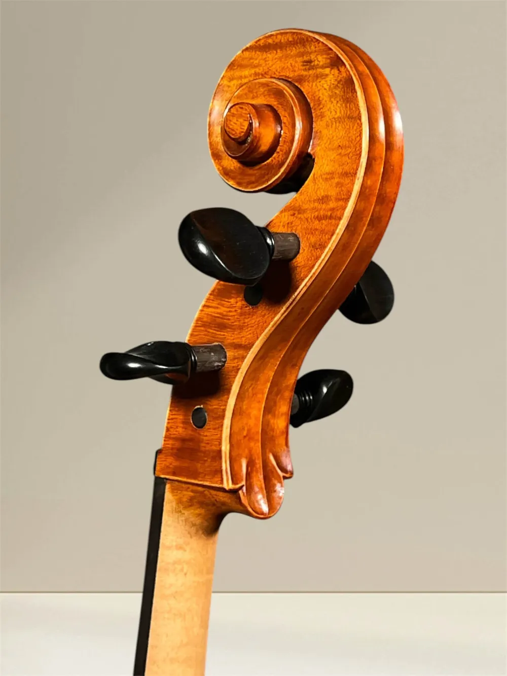 Vultur Calin 4/4 Cello nach Montagnana Sleeping Beauty Modell Baujahr 2018 - Schneckeansicht hinten seitlich