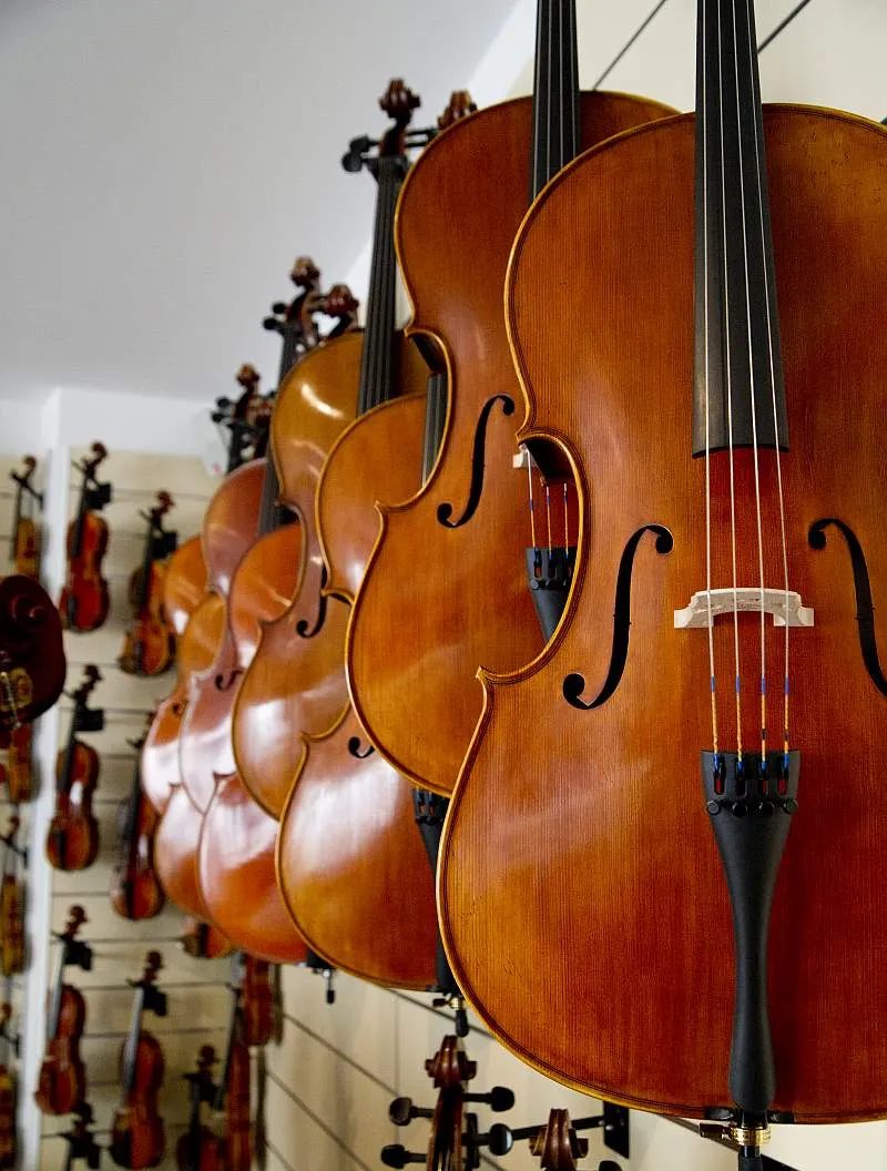 Cellos in unserem Showroom in Mainz