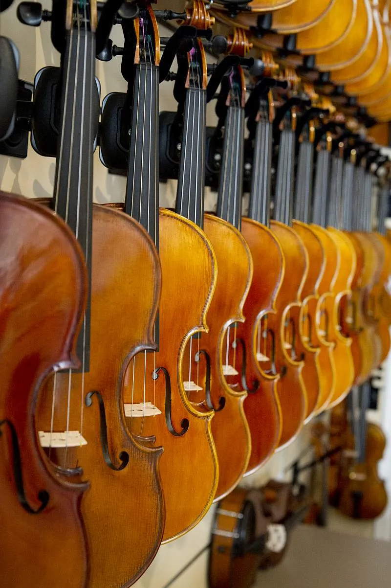 Geigen in unserem Showroom in Mainz